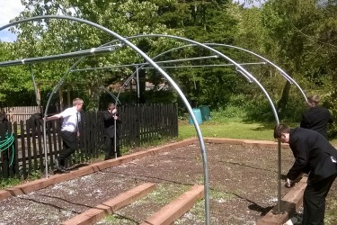 PolyTunnel 22