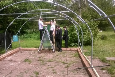 PolyTunnel 41