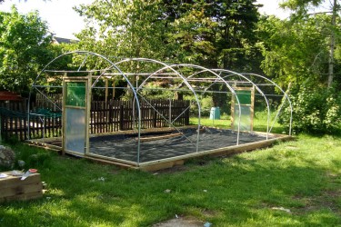 PolyTunnel 51