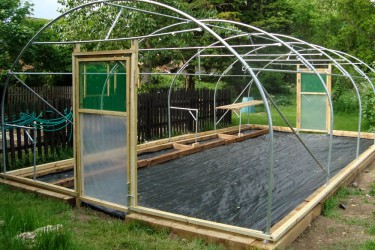 PolyTunnel 53