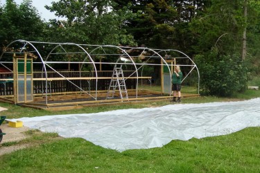 PolyTunnel 55