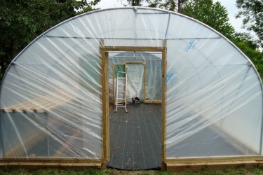 PolyTunnel 61