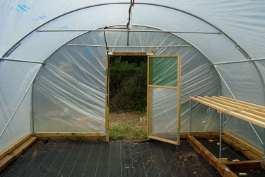 PolyTunnel 64