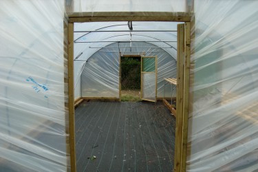 PolyTunnel 65