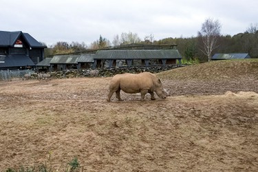 Zoo Trip 18