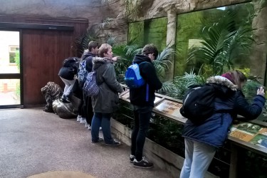 Zoo Trip 4