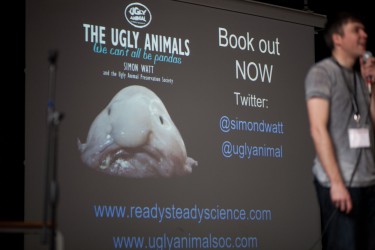 ugly animal road show 17