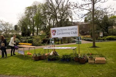 halstead may day celebrations 3