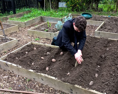 Gardening Club Summer