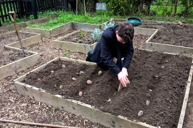 ramsey gardening club summer 14