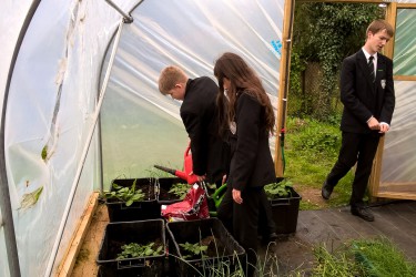 ramsey gardening club summer 17