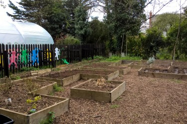 ramsey gardening club summer 25