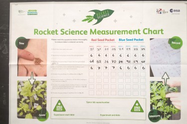 ramsey gardening rocket project 21