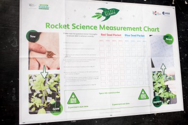 ramsey gardening rocket project 8