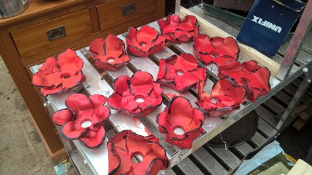 Clay Poppies   11