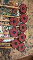 Wood Poppies   8