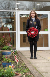 armistice day 111122