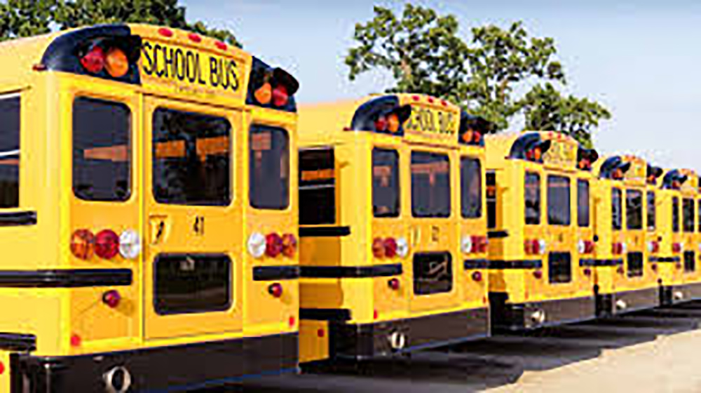 Home To School Transport The Ramsey Academy Halstead