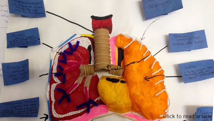 Year 11 Respiratory System Homework