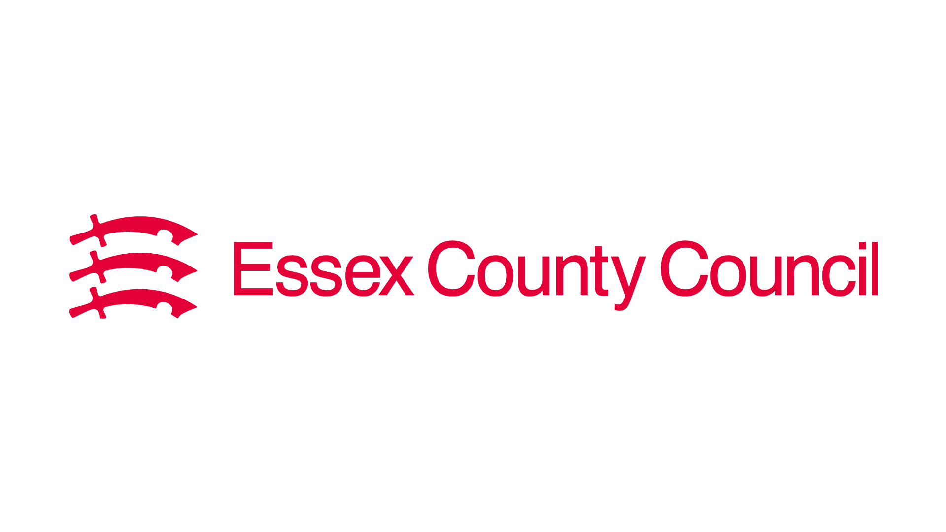 Essex County Council’s Fostering Community